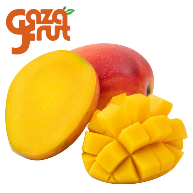 Mango kg. Seleccion de calidad para despacho en Santiago por Gazafrut.
