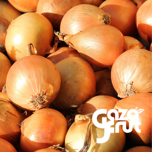 Cebolla blanca kg GAZAFRUT