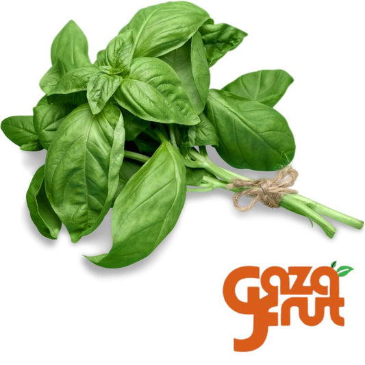 Albahaca Unidad. Seleccion de calidad para despacho en Santiago por Gazafrut.