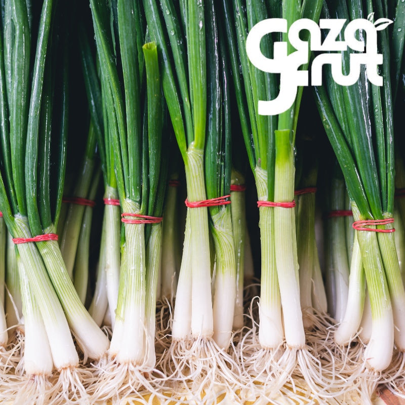 Cebollines frescos. Seleccion de calidad para despacho en Santiago por Gazafrut.