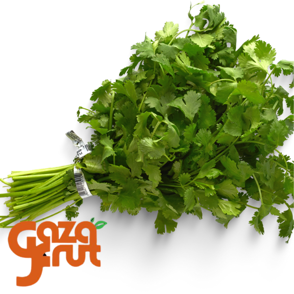Cilantro fresco gazafrut