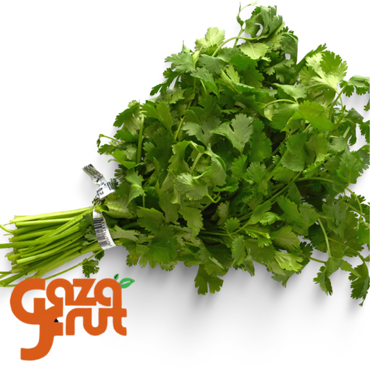Cilantro fresco gazafrut