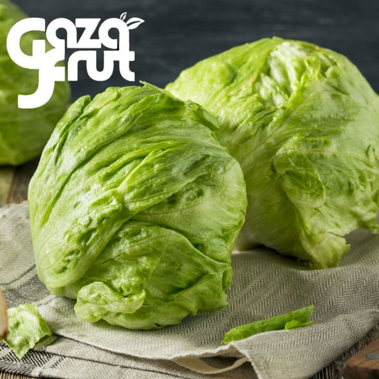 Lechuga Escarola Unidad. Seleccion de calidad para despacho en Santiago por Gazafrut.