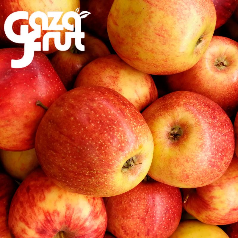 Manzana Fuji kg. Seleccion de calidad para despacho en Santiago por Gazafrut.