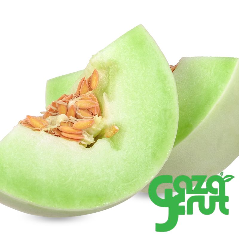 Melón Tuna Unidad. Seleccion de calidad para despacho en Santiago por Gazafrut.