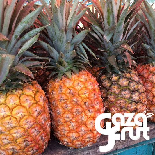 piña dulce fresca gazafrut