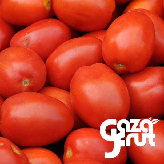 Tomate Pera kg. Seleccion de calidad para despacho en Santiago por Gazafrut.