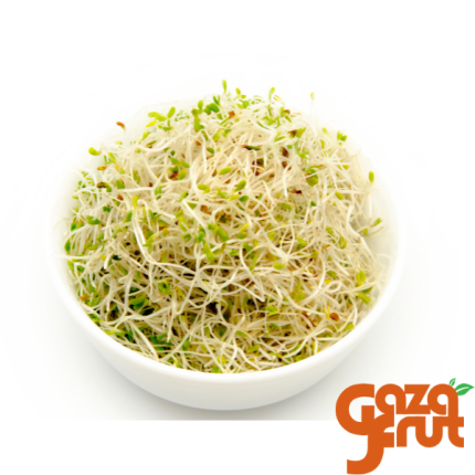 Brotes de alfalfa frescos en empaque resellable, ideales para ensaladas y comidas saludables.